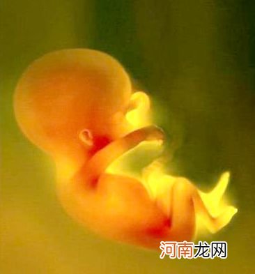 孕期适当运动有利于胎儿发育
