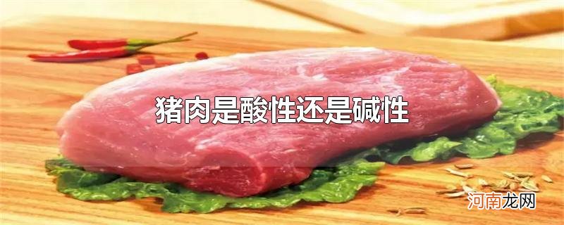 猪肉是酸性还是碱性