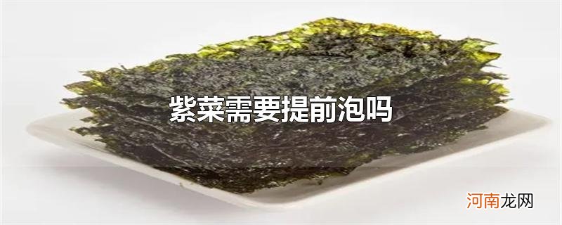 紫菜需要提前泡吗