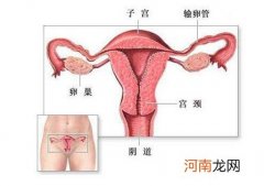 子宫内膜薄可以做试管婴儿吗?