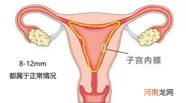 内膜薄5试管成功