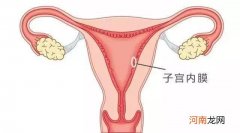 子宫内膜要多厚才来月经