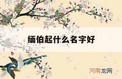 缅伯起什么名字好_缅甸人名字哪个是姓