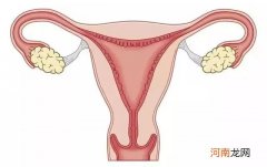 增长子宫内膜的食物有哪些