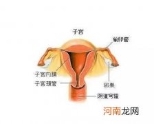 怎么改善子宫内膜薄的问题