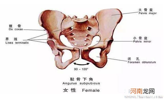 孕妇耻骨分离能顺产吗