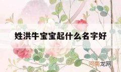 姓洪牛宝宝起什么名字好_姓洪的男孩名字大全牛年