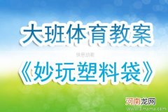 大班主题可怕的塑料袋教案反思