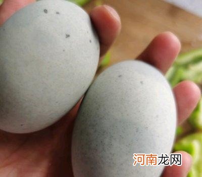 16种高纤维食物有些什么 纤维粗的食品有哪些