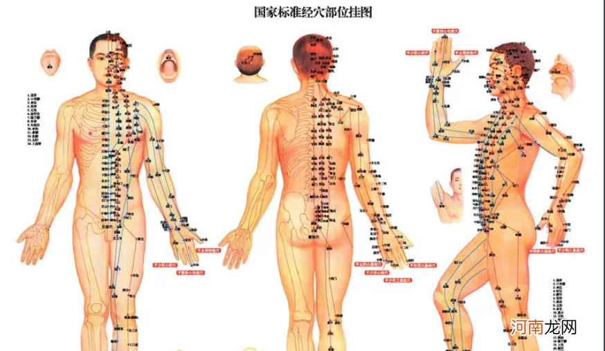 天应穴位位置图