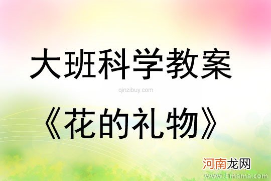 附教学反思 大班科学活动教案：植物的家教案