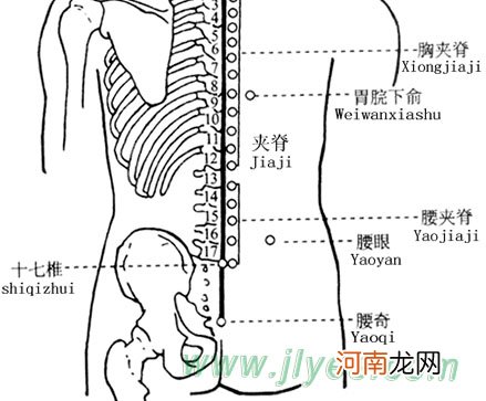 曲骨穴的准确位置图