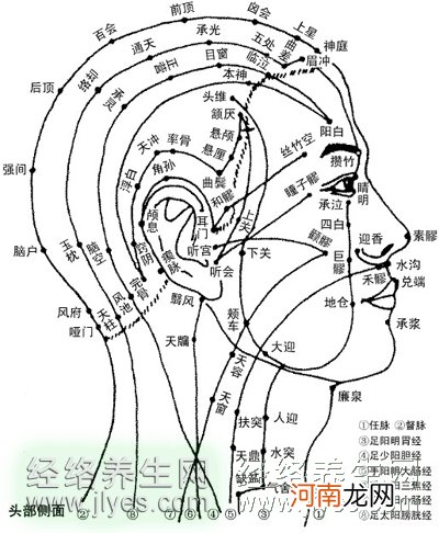 曲骨穴的准确位置图