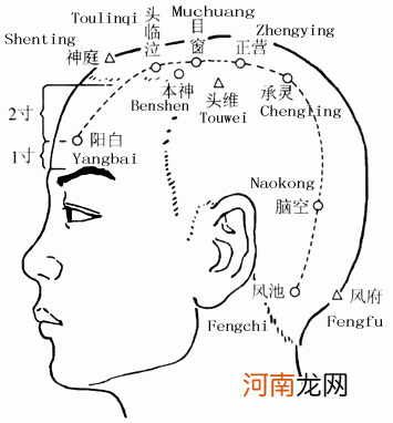 曲骨穴的准确位置图