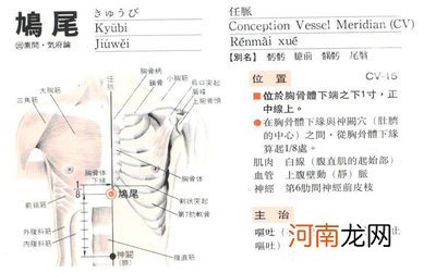 鸠尾的准确位置图片作用