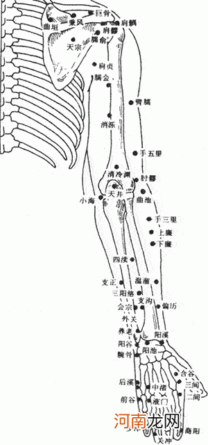 腕骨穴的准确位置图