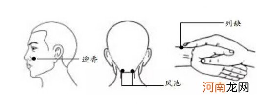 风池穴的位置及功效