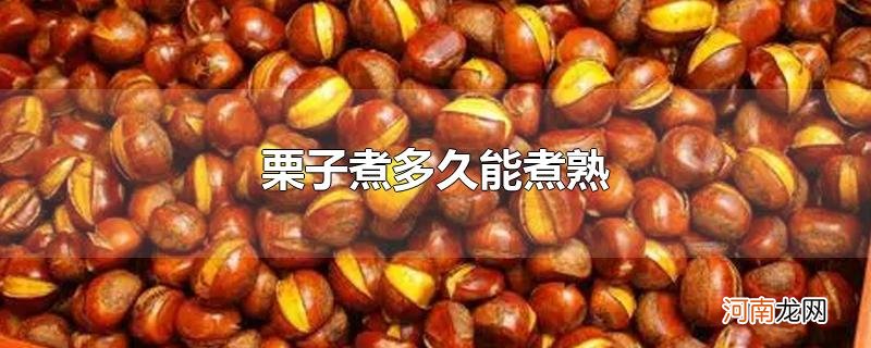 栗子煮多久能煮熟