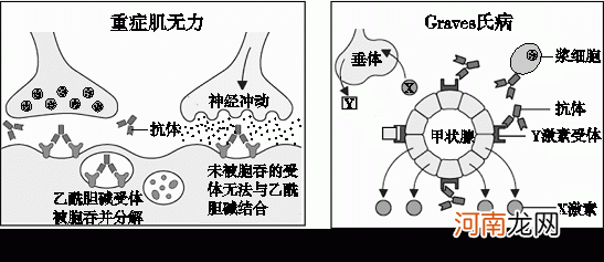 上廉泉的位置和作用