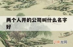 两个人开的公司叫什么名字好_两个人的公司叫什么公司