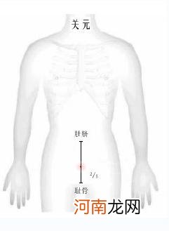 关元穴位置