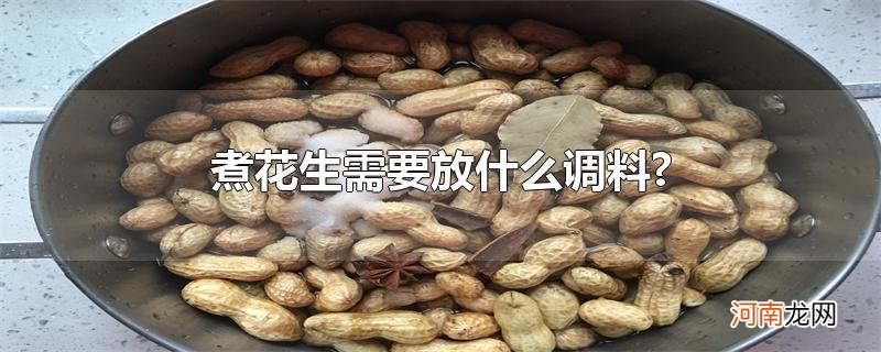 煮花生需要放什么调料?