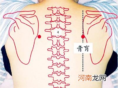 肺腧在大椎下几寸