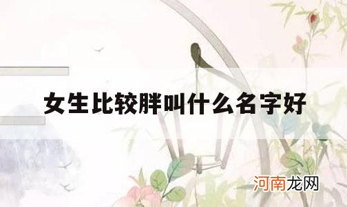 女生比较胖叫什么名字好_胖女孩叫什么网名好听