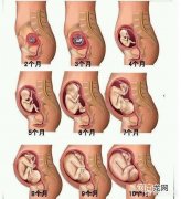 孕24周胎儿真实图