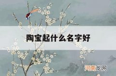 陶宝起什么名字好_陶陶这个名字好吗