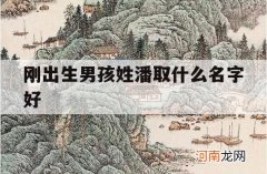 刚出生男孩姓潘取什么名字好_宝宝姓潘取什么名字好