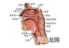 梅核气最简单的治愈方法