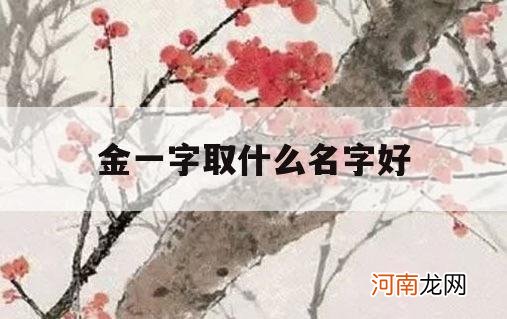 金一字取什么名字好_金一一名字