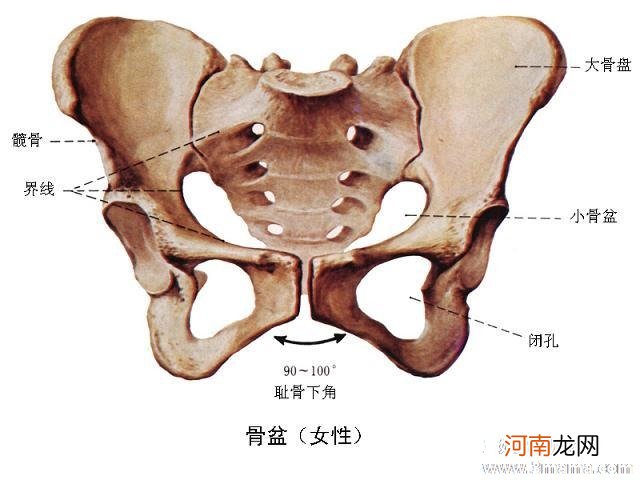 孕晚期什么时候测骨盆