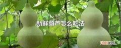 新鲜葫芦怎么吃法