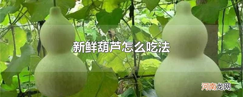 新鲜葫芦怎么吃法