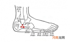 申脉穴位精准位置图