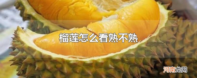 榴莲怎么看熟不熟