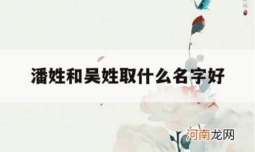 潘姓和吴姓取什么名字好_潘和吴起名