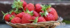 草莓如何保留长久 怎么保留草莓