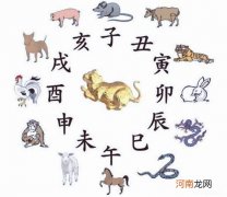 2022年灾难最多的生肖 生肖虎就在其中