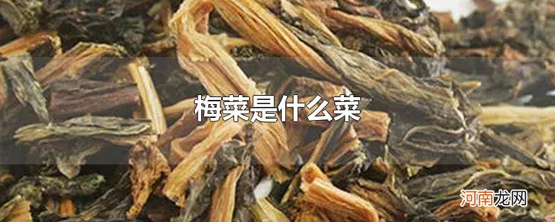 梅菜是什么菜