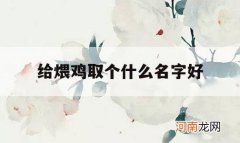 给煨鸡取个什么名字好_做鸡煲取什么名字好