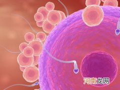 7招帮大龄女养出健康卵子