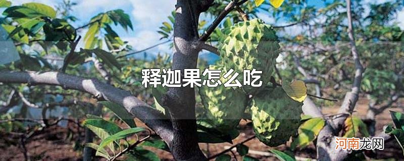 释迦果怎么吃