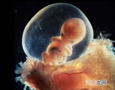 孕前运动有益胎儿发育