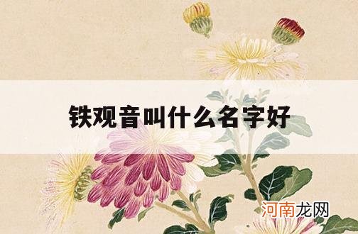 铁观音叫什么名字好_最好的铁观音叫什么