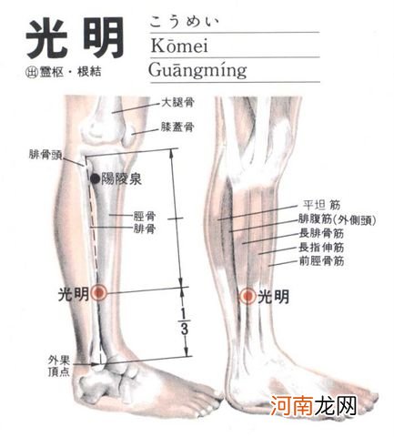 光明穴的准确位置图