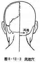 风池穴位在哪里