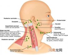 脖子天柱穴淋巴结